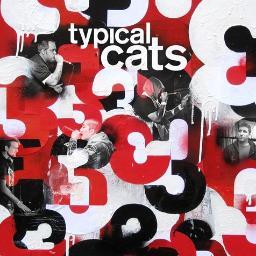 Typical Cats