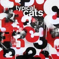 Typical Cats (@typicalcats) 's Twitter Profile