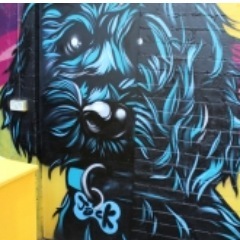 WeSthMelbourne's profile picture. A different SouthMelburnian each week. Curator: XXX. Currently: