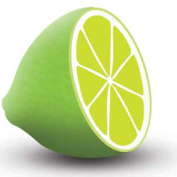 Lime Websolutions #WebDesign #SocialMedia #SEO #Hosting #CustomApplications #Intranet en nog veel meer diensten gericht op het internet!