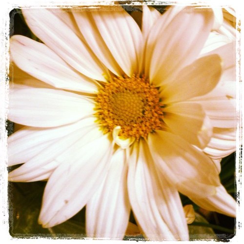 TheRutherfords7's profile picture. Happily married, best friends. Parents to 5 great kids. Blessed.