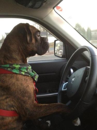 tnorko77's profile picture. 