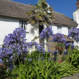 DevonHouseSit's profile picture. DEVON HOUSE SIT. House & Pet Sitting. Looking after your home, post, deliveries, plants, animals, etc. while you are away. #Tavistock #Devon