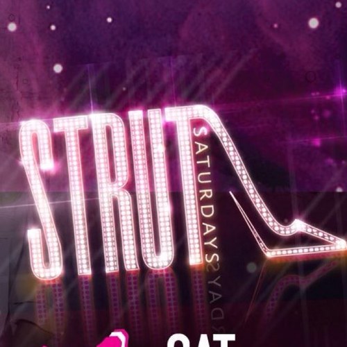 Rocksteady Entertainment presents STRUT @ TRAK!EXPERIENCE CARNIVALE EVERY SATURDAY NIGHT WITH AMAZING COLOUR, ENERGY & RHYTHM