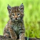 Stacey Davies - @staceyskylouise - Twitter