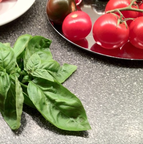 Ops, Tech & Real Estate guy. Tomato & Basil Grower. Reformed (i.e. resigned) Manhattan Condo Board President. RTs can mean anything.