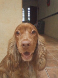 machavespd's profile picture. 