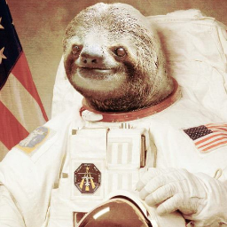 sloth