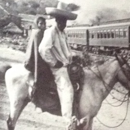 arizaunique's profile picture. 