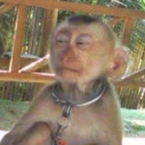 autumnbutler65's profile picture. Funny pics and tweets now