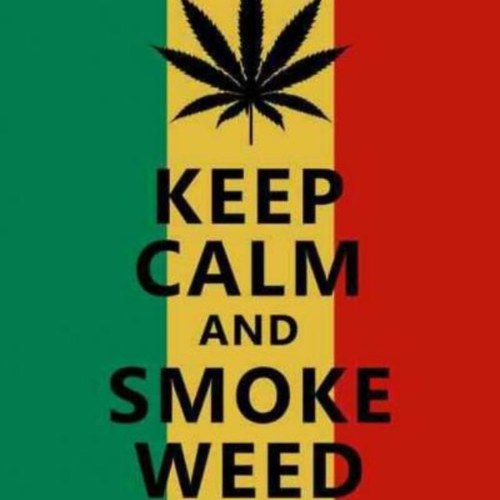 KoltonJTownsend's profile picture. Twitters gay but follow me anyways