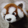 dynamitter's profile picture. Web系ぱんだ。主な話題はウェブ、オープン、ブラウザ、標準化、開発ツール、トラスト、人材育成などとれっさーぱんだ♡です。