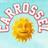 Viva_Carrossel's profile image