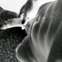 Dan Lugo - @DanLugox - Twitter