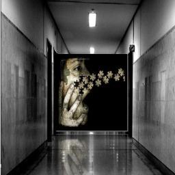 LadoOcultoradio's profile picture. Pagina y Blog oficial especializado en los fenómenos paranormales, EL LADO OCULTO lo indescifrable... https://t.co/gGXS9vbnlY