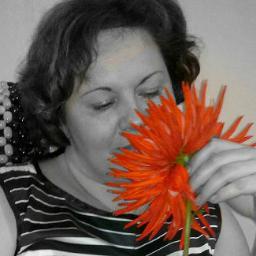 djonsik71's profile picture. 