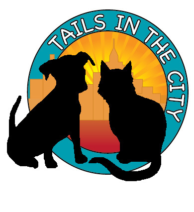 Tails in the City is the ultimate guide for new pet owners in Pittsburgh. This print and online publication is filled with articles from local pet experts.