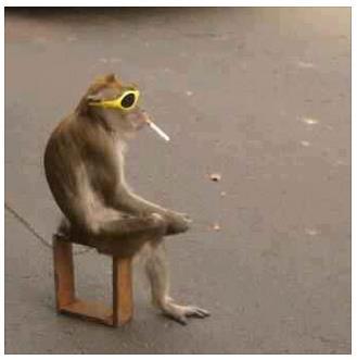 Ncank_Aiui's profile picture. 