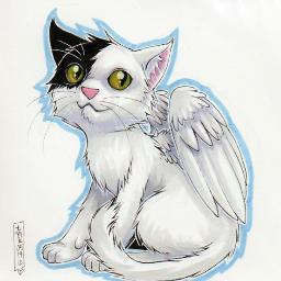 Catwings Shapeshifter, at your service!