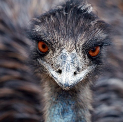 Joeyharv's profile picture. If it ain't a snapback, take the hat back.