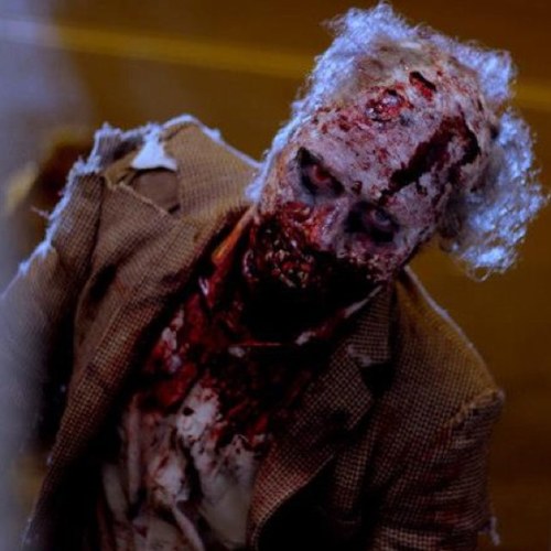 musician, recording engineer, indie film maker, zombies!