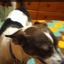 kyle hyde - @kylehyde5 - Twitter