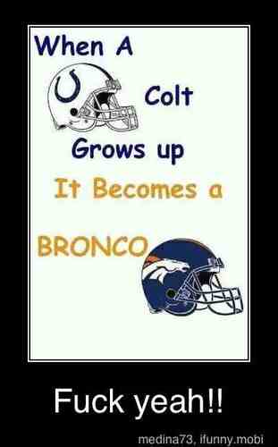 shannonhernan15's profile picture. 