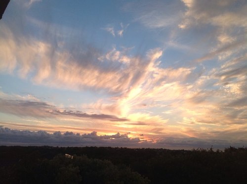 caroline01rc's profile picture. 