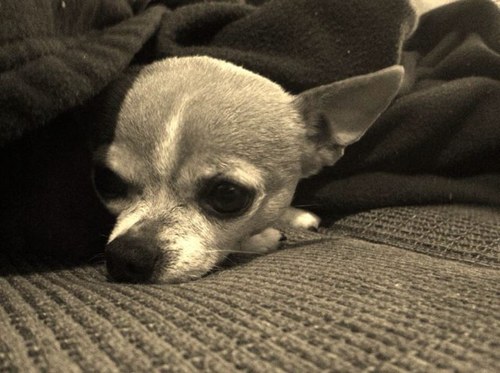 hobgoode's profile picture. 