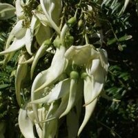 hjss (@hilstace) 's Twitter Profile