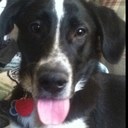 Bill Dunham - @Thegolfkeeper - Twitter