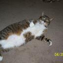 Deborah Kramer - @justliving63 - Twitter