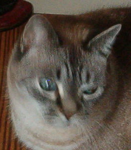 VintageGifts_'s profile picture. 