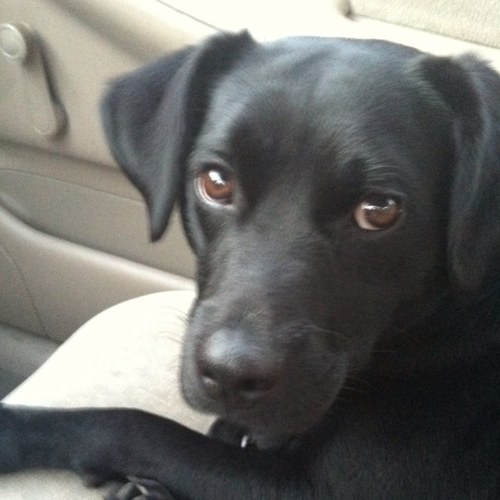 Jeff_Rah's profile picture. 