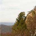 Christopher Gove - @ChrisGove___ - Twitter