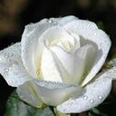 Sandy Blair - @Blairsandy54 - Twitter