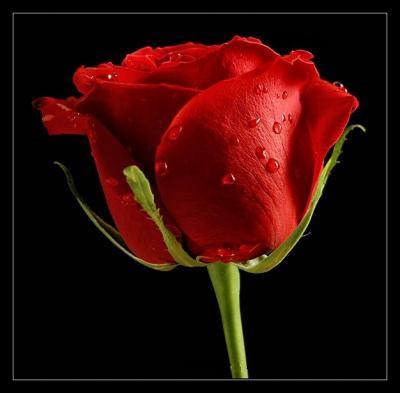 hbasri6's profile picture. 