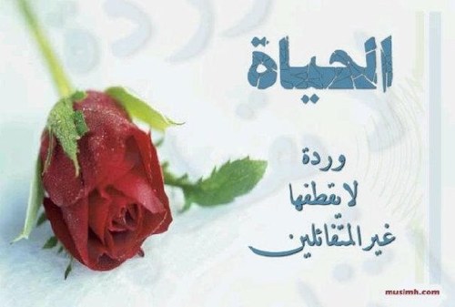 صيدلاني