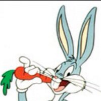 Hugo Hintermmond (@bagitman73) Twitter profile photo