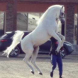 سبحان الله وبحمده .. سبحان الله العظيم ♥
PIN:29B3B2AF · http://t.co/dGaQIv2l