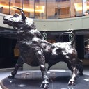 Amy du Plessis - @AmyduPlessis1 - Twitter