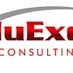 NuExec Consulting (@nuexec1) Twitter profile photo