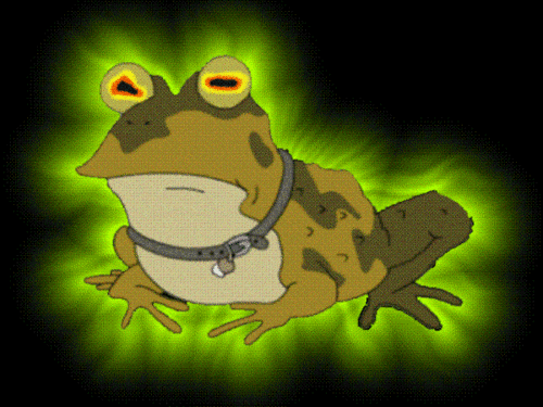 Hypnotoad1's profile picture. ALL GLORY TO THE HYPNOTOAD
