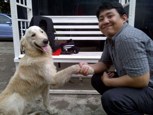 kohcongcong's profile picture. Konselor Move On, Tukang Masak Paruh Waktu yang Unconsciously Charming and Manager Ahli Peluk @goberian_bravo