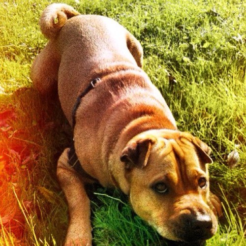 EduFdez6's profile picture. 