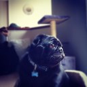 Tim Callaghan - @timbocal - Twitter