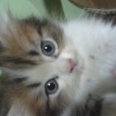 = Friendly = (@13FarahIzzati) Twitter