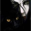 Catzmajik - @PauletteFarley - Twitter