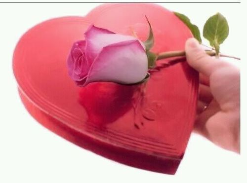 2012Aburajab's profile picture. 