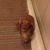 singa1972 (@singa1972) Twitter profile photo
